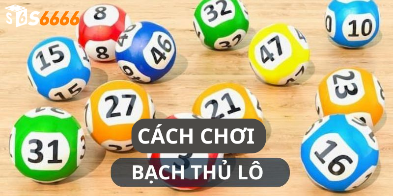 Cách Chơi Bạch Thủ Lô Hiệu Quả