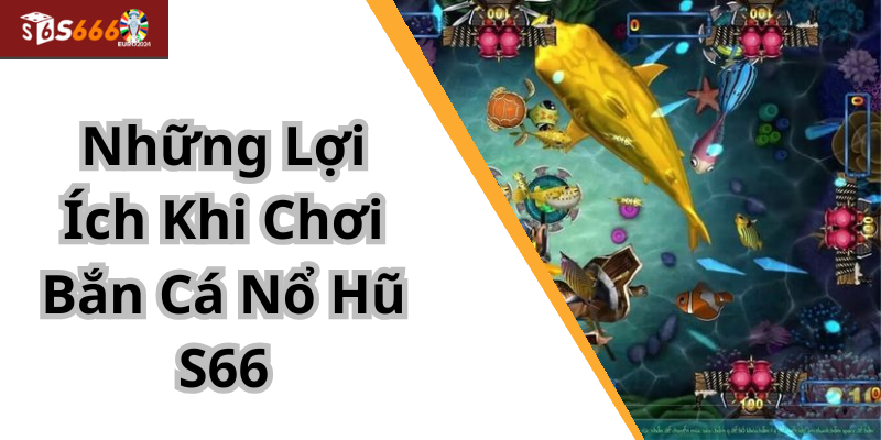 Những Lợi Ích Khi Chơi Bắn Cá Nổ Hũ S66