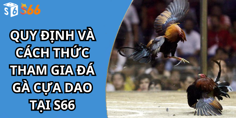 Quy định và cách thức tham gia đá gà cựa dao tại s66