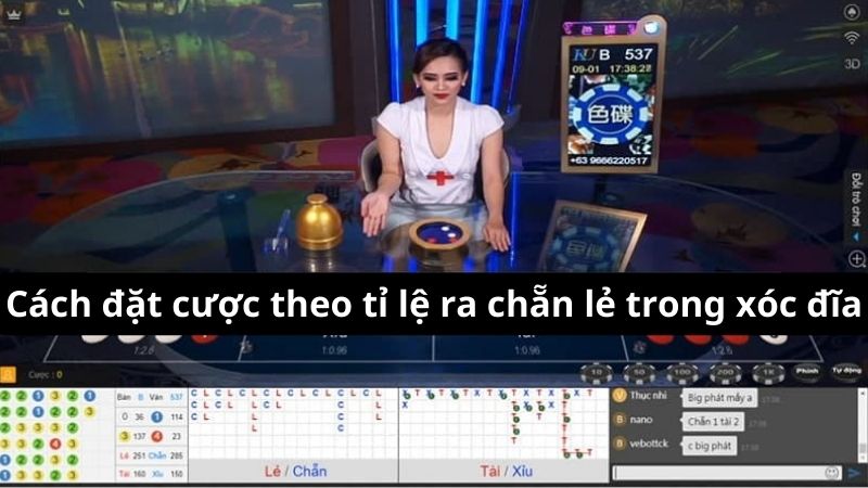 Cách đặt cược theo Tỉ lệ ra chẵn lẻ trong xóc đĩa